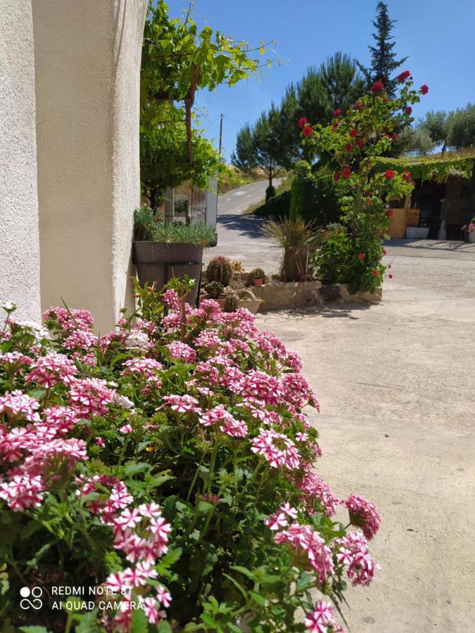 B&B Troisi Racalmuto Exteriér fotografie